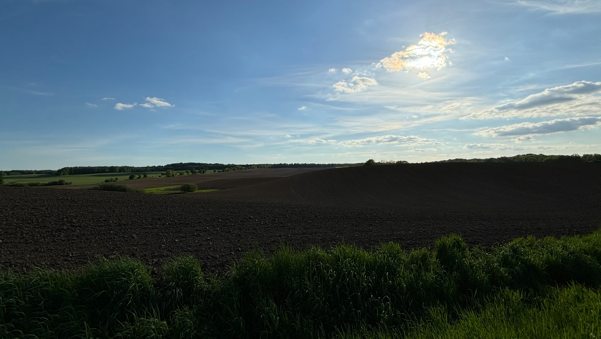 50-year-old Polish worker dies during harvest in Belgium amid extreme heat