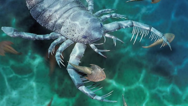 Chiny: odkryto skamielinę skorpiona morskiego wielkości psa. Może mieć 435 mln lat