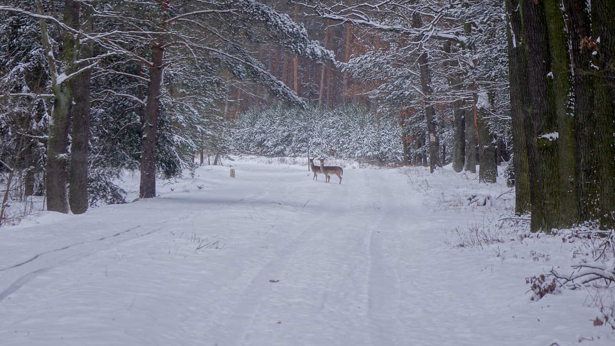 Marzec w obiektywie - zdjęcie 64