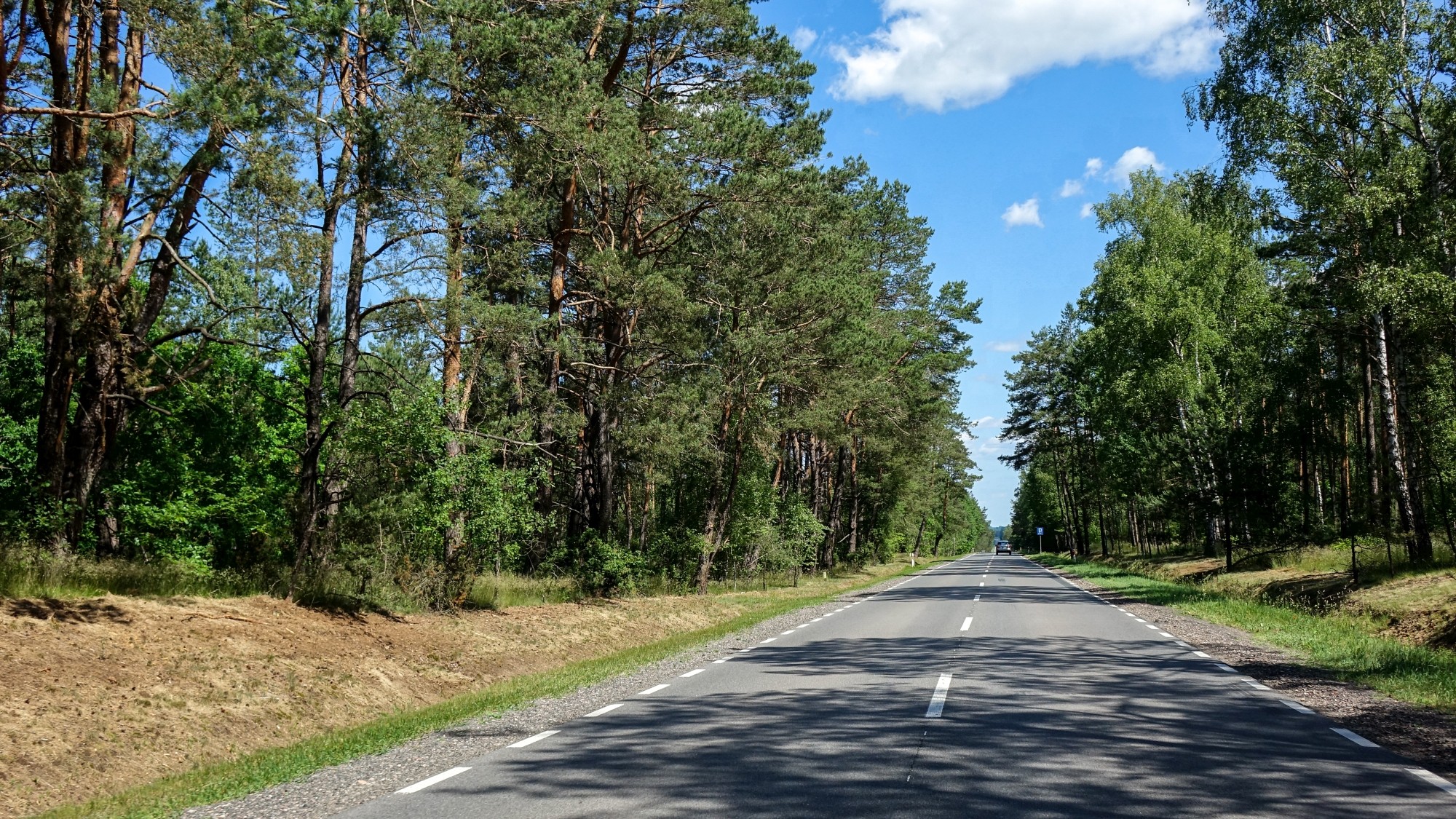 Czerwiec w obiektywie - zdjęcie 39