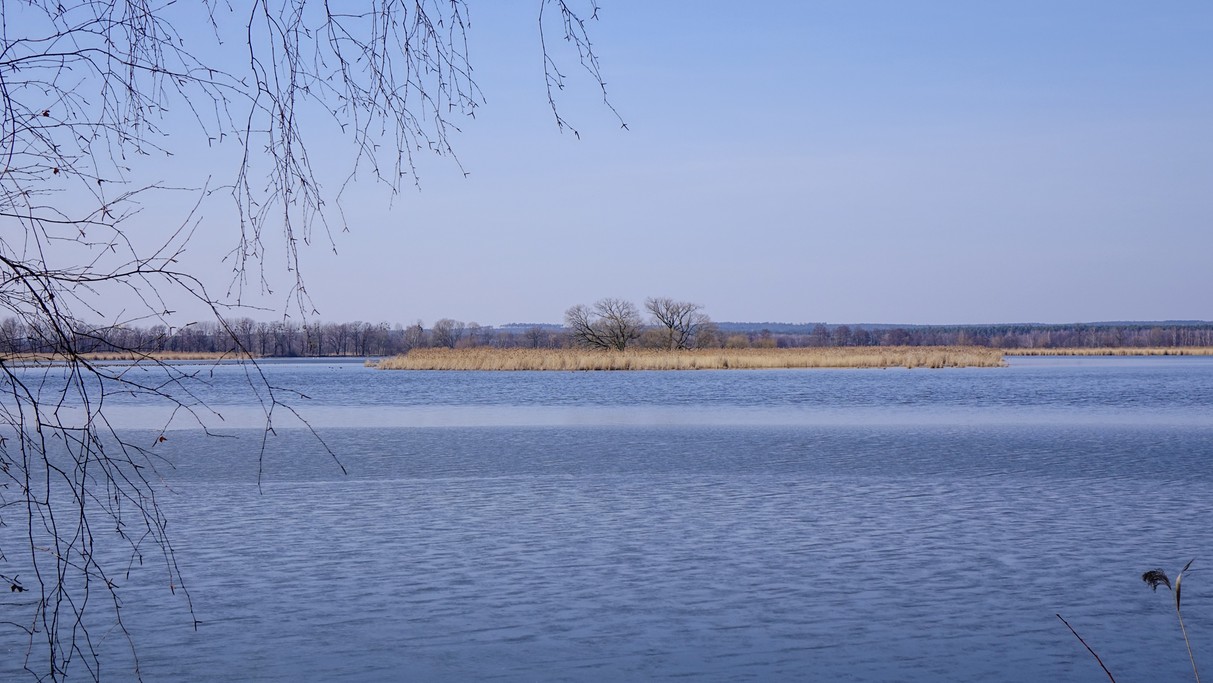 Marzec w obiektywie - zdjęcie 21