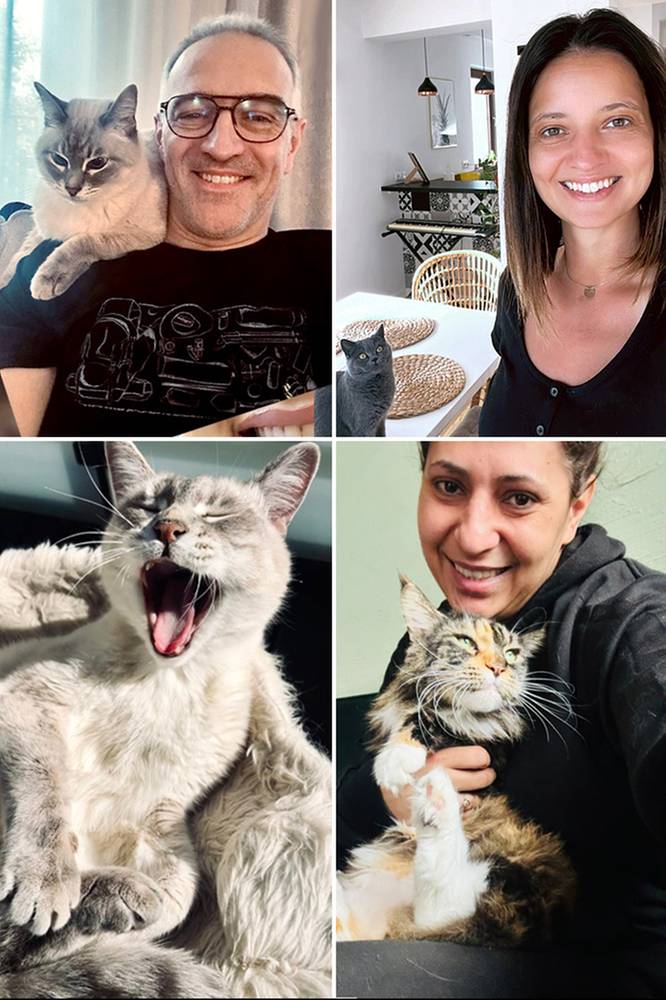 Akcja na Dzień Kota! Gwiazdy Czwórki dla czworonogów