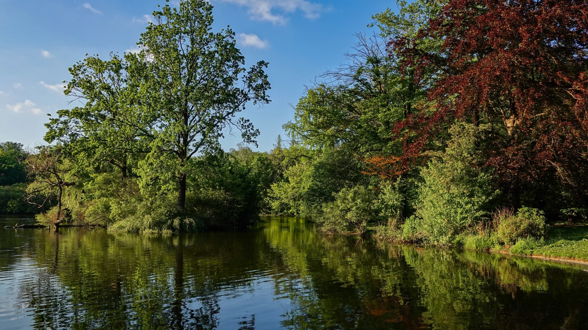 Uroki zielonej pory roku - zdjęcie 16