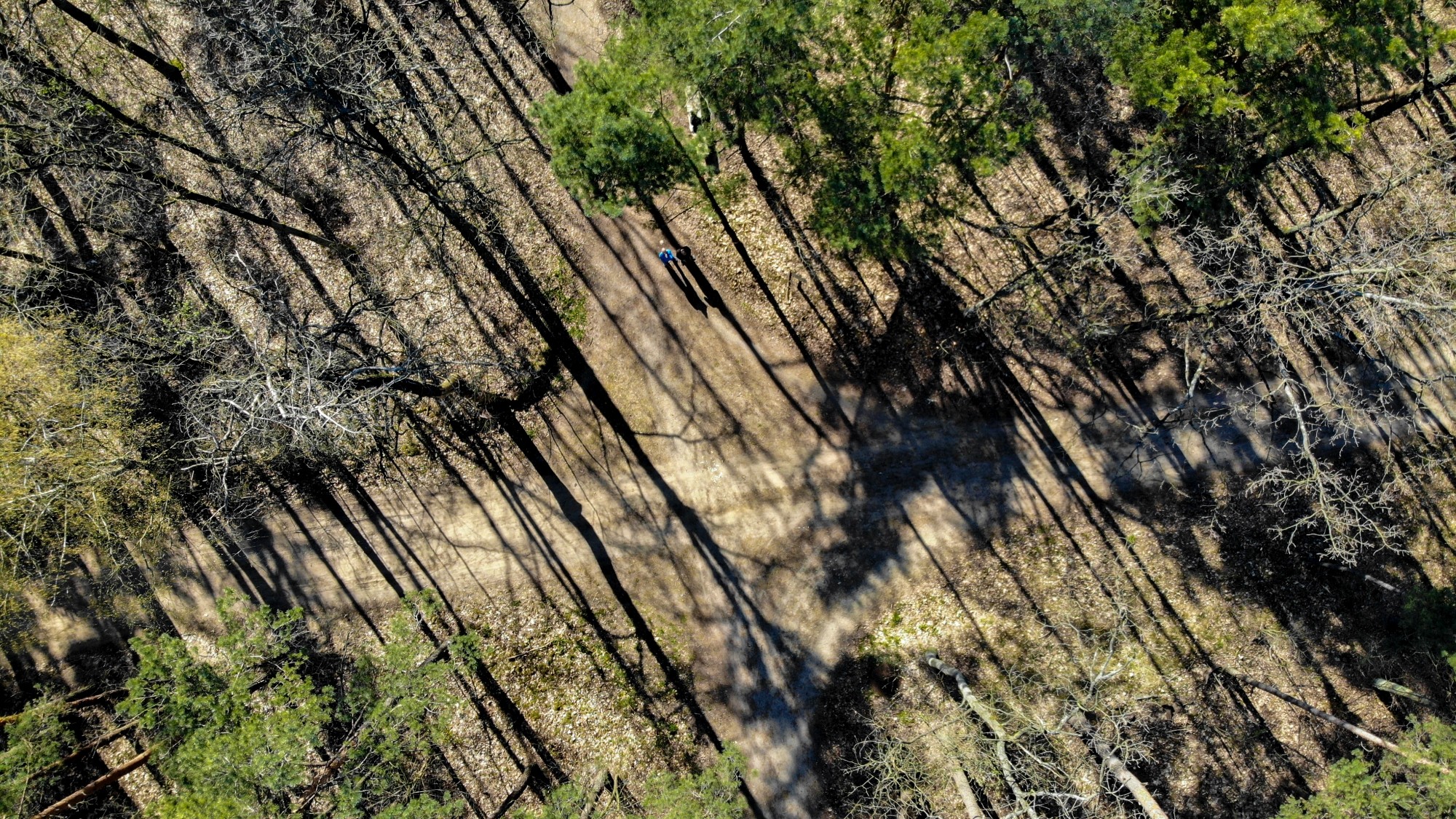 Niesamowita Polska z lotu ptaka - zdjęcie 13