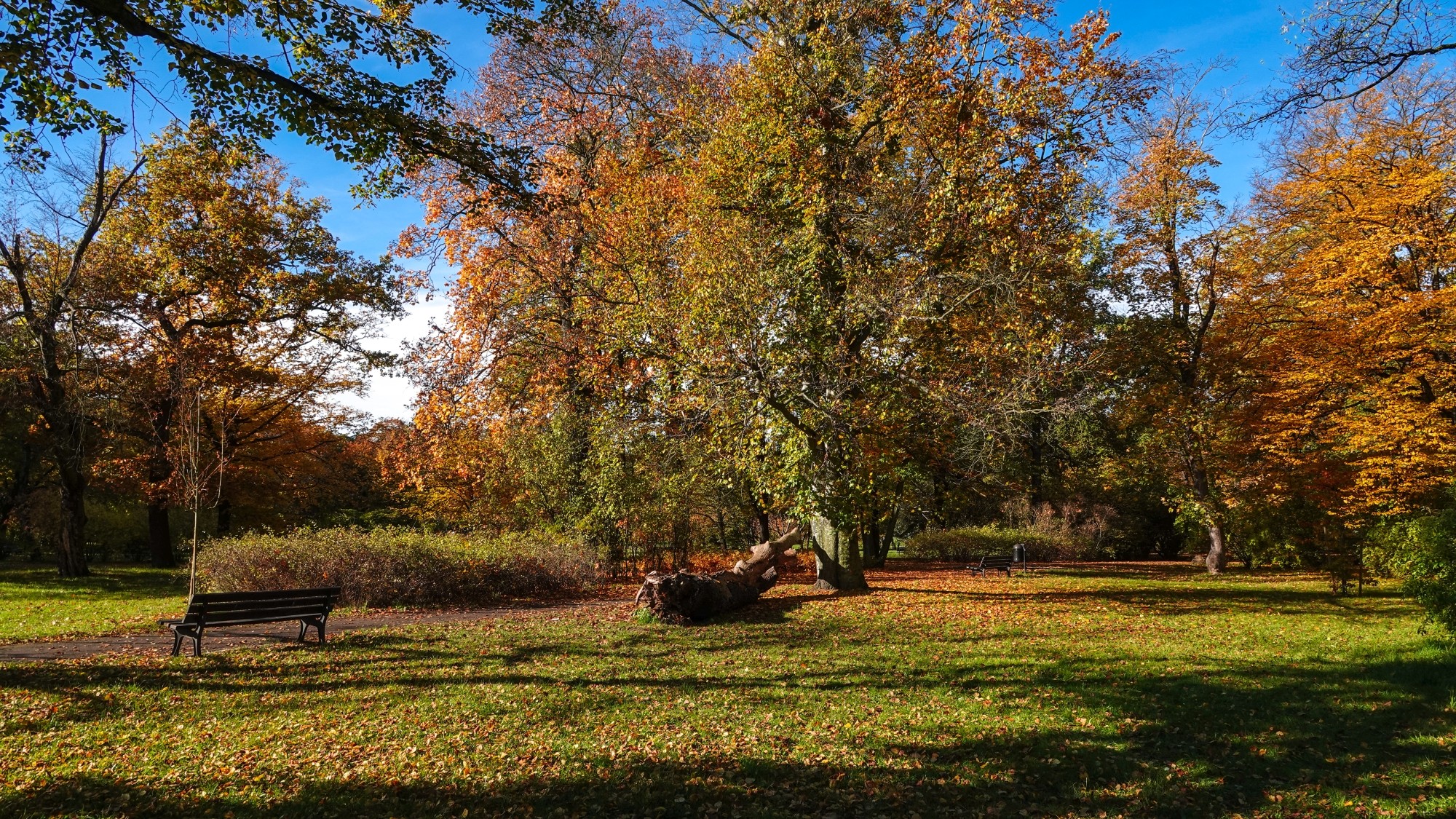 Wszystkie barwy jesieni - zdjęcie 40
