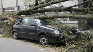 17.02.2023 05:56 Podczas wichury nie wychodź z domu, bo to może się zdarzyć, gdy nie posłuchasz ostrzeżeń