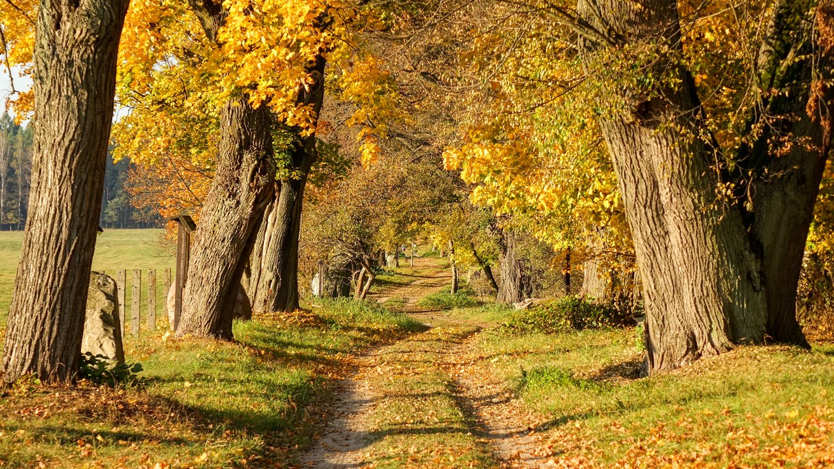 Barwy jesieni - zdjęcie 9