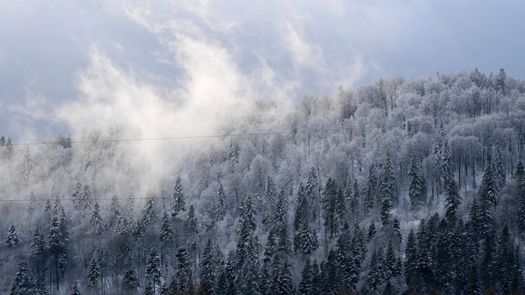 Intensywne opady śniegu w południowej części Śląskiego i Małopolskiego. IMGW ostrzega