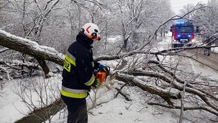 21.01.2023 05:58 Śnieżyce nad Polską. Zginęły 3 osoby, kilkanaście rannych, chaos na drogach i masowe awarie prądu