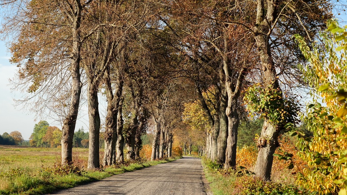 Podróż przez jesienną Polskę - zdjęcie 49