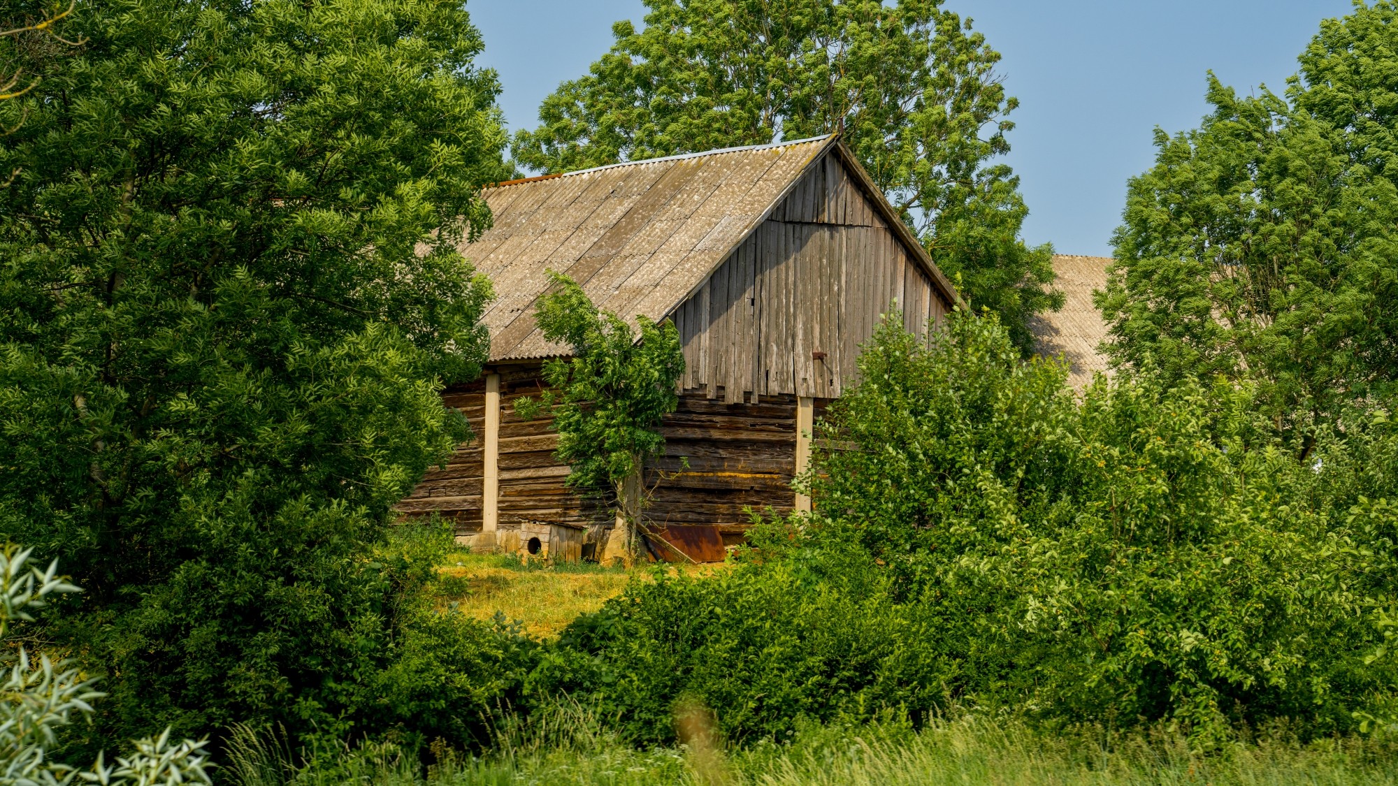 Lato na prowincji - zdjęcie 18
