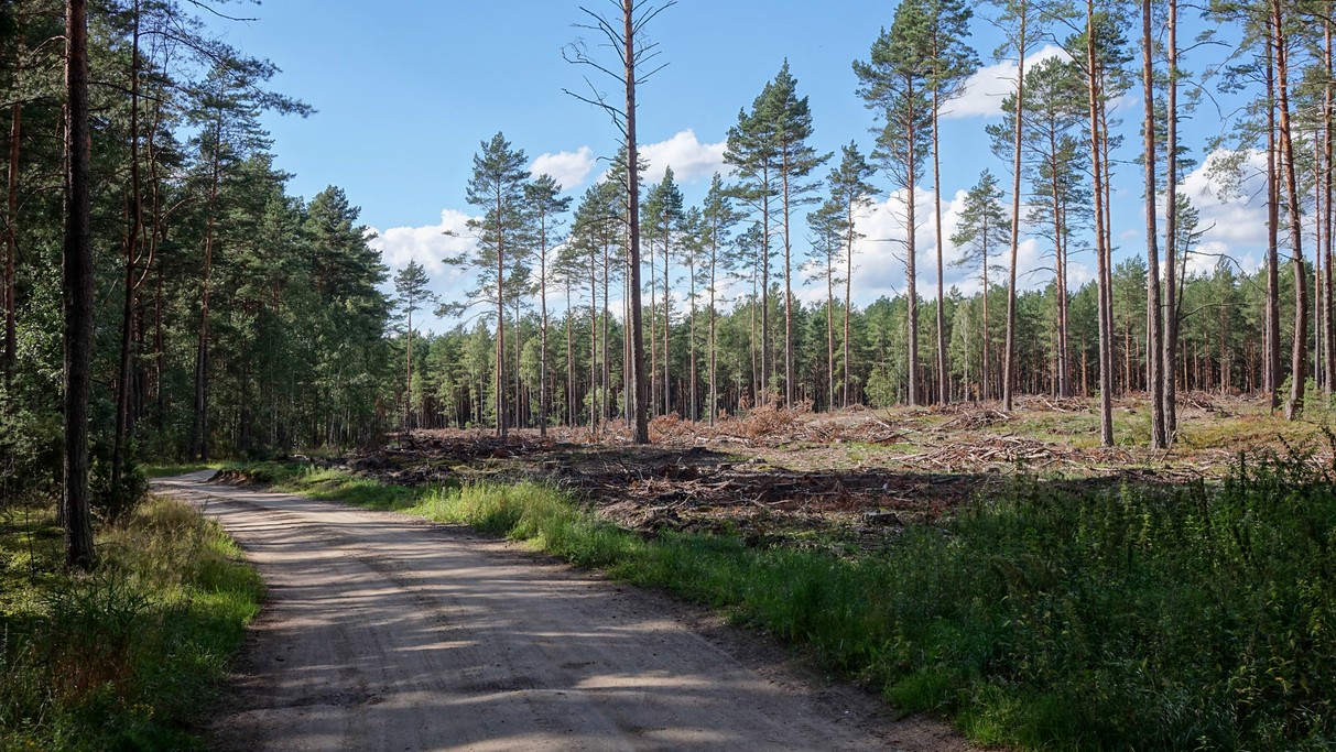 Lipiec w obiektywie - zdjęcie 52