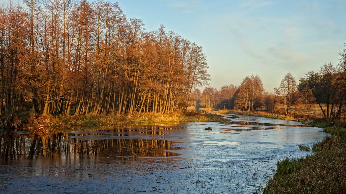 Polskie krajobrazy w 2018 roku - zdjęcie 59