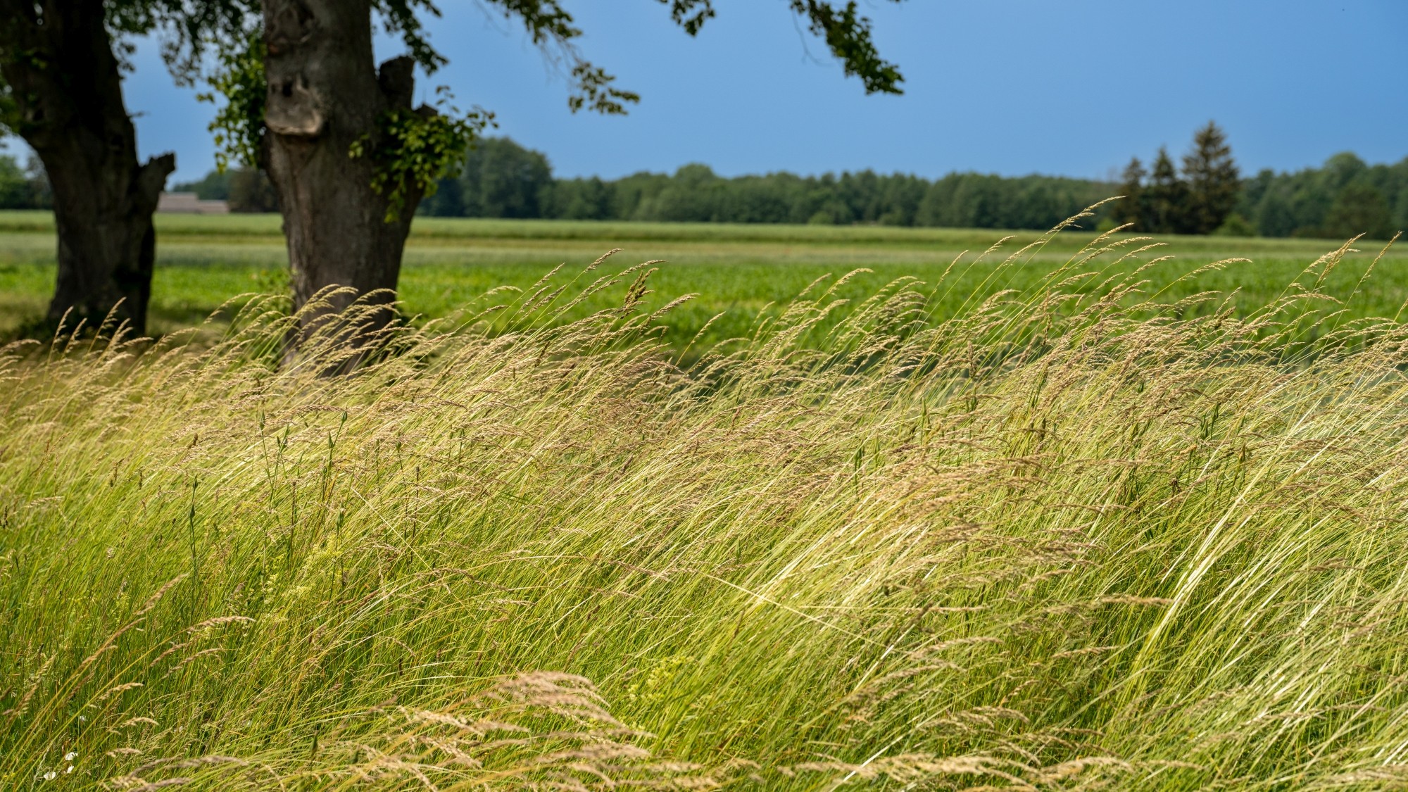 Lato na prowincji - zdjęcie 46