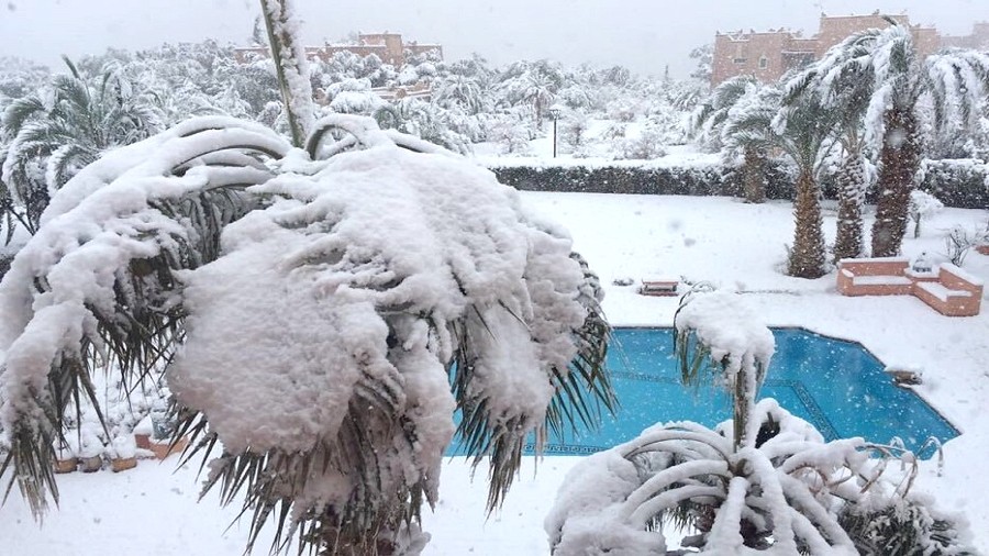 Pierwszy od półwiecza śnieg w Maroku. Fot. Twitter.