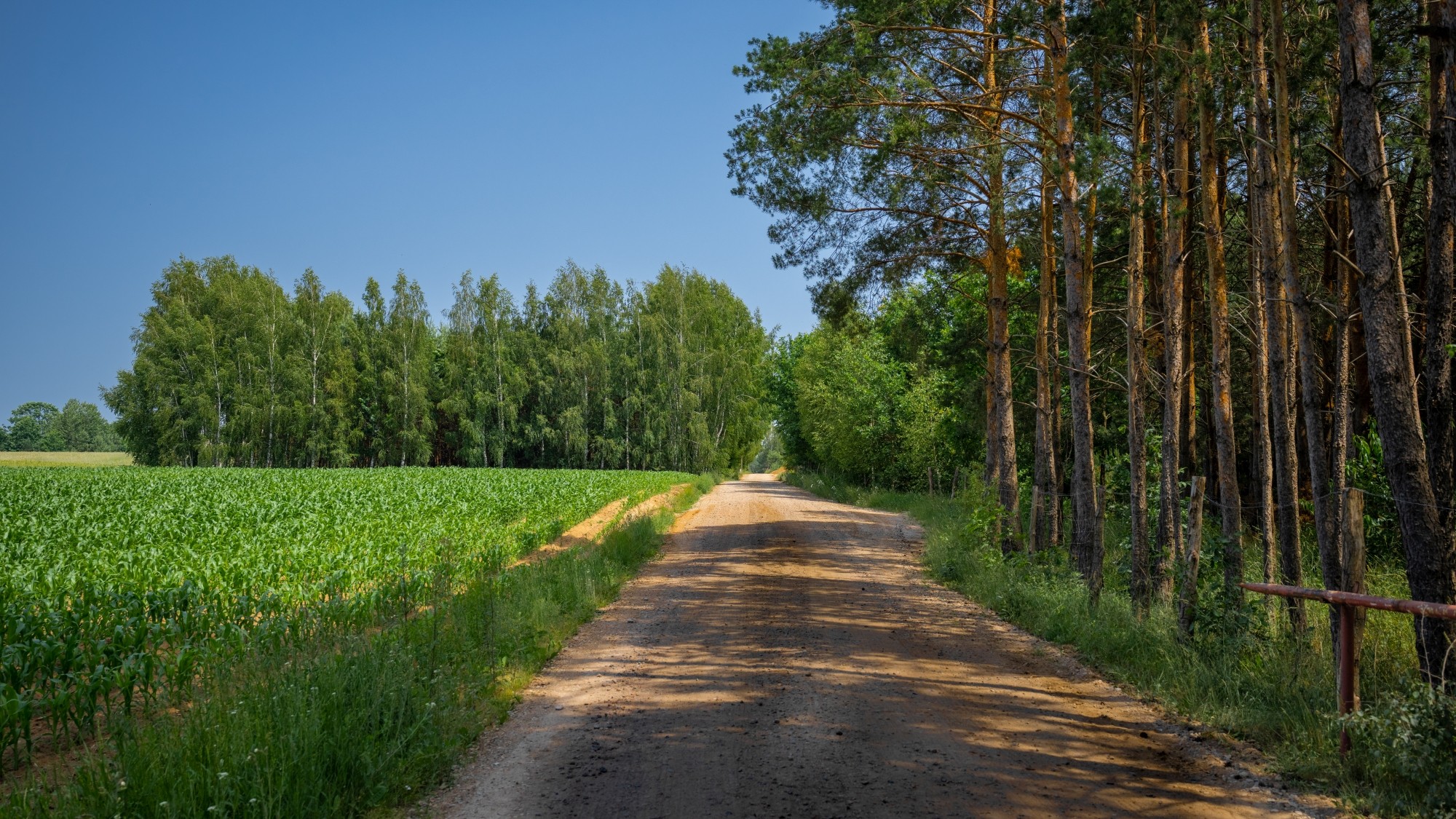 Lato na prowincji - zdjęcie 42