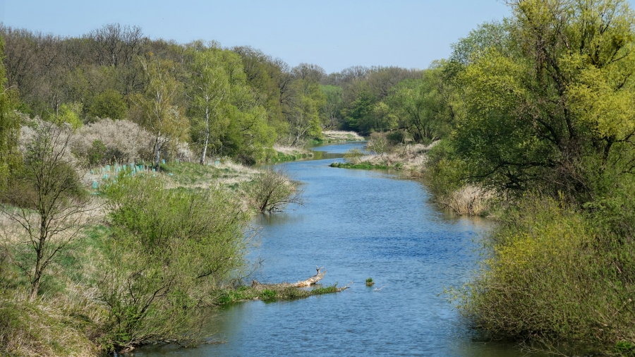 02.05.2019 11:00 Kwiecień gorący, suchy, z pożarami łąk i lasów. Zobacz na zdjęciach, jaki był naprawdę