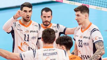 PlusLiga. Wyniki i skróty meczów 21. kolejki (WIDEO)