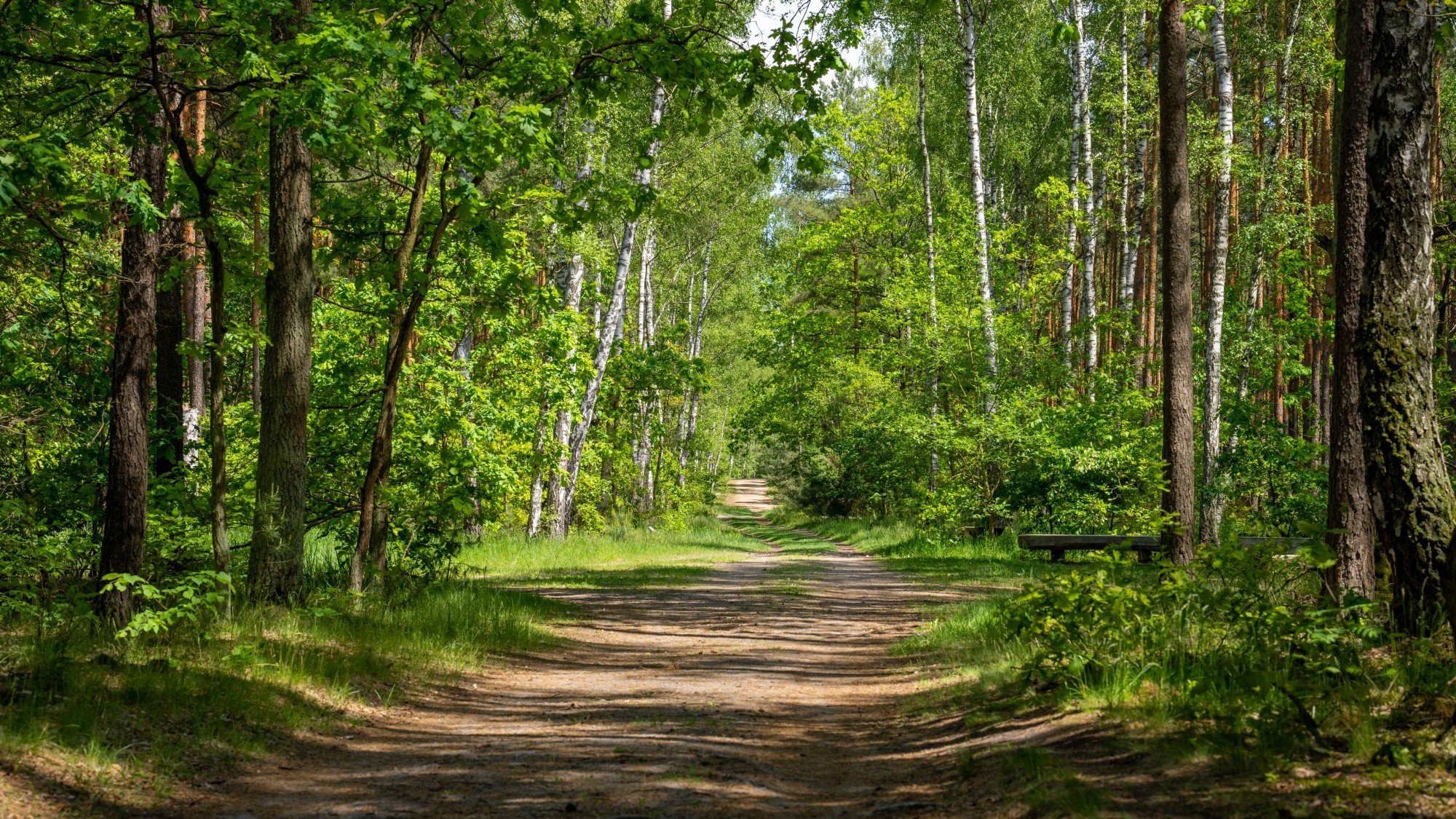 Lato na prowincji - zdjęcie 45