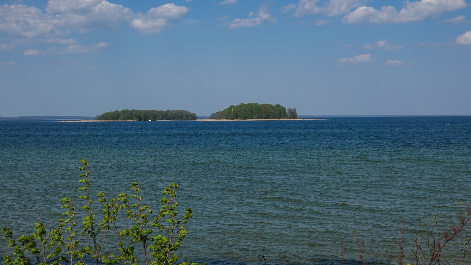 W maju jak w raju - zdjęcie 56