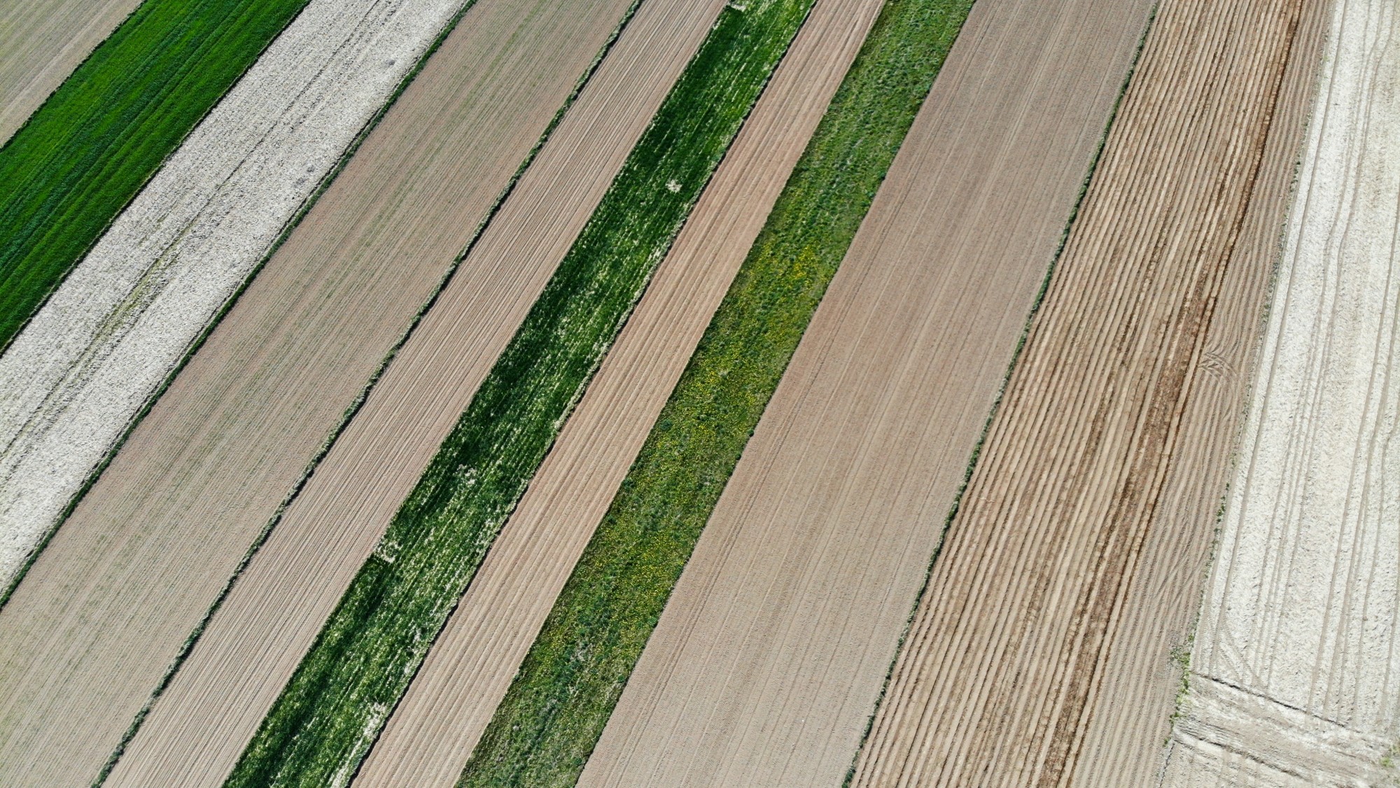 Wiosna w Polsce okiem drona - zdjęcie 7