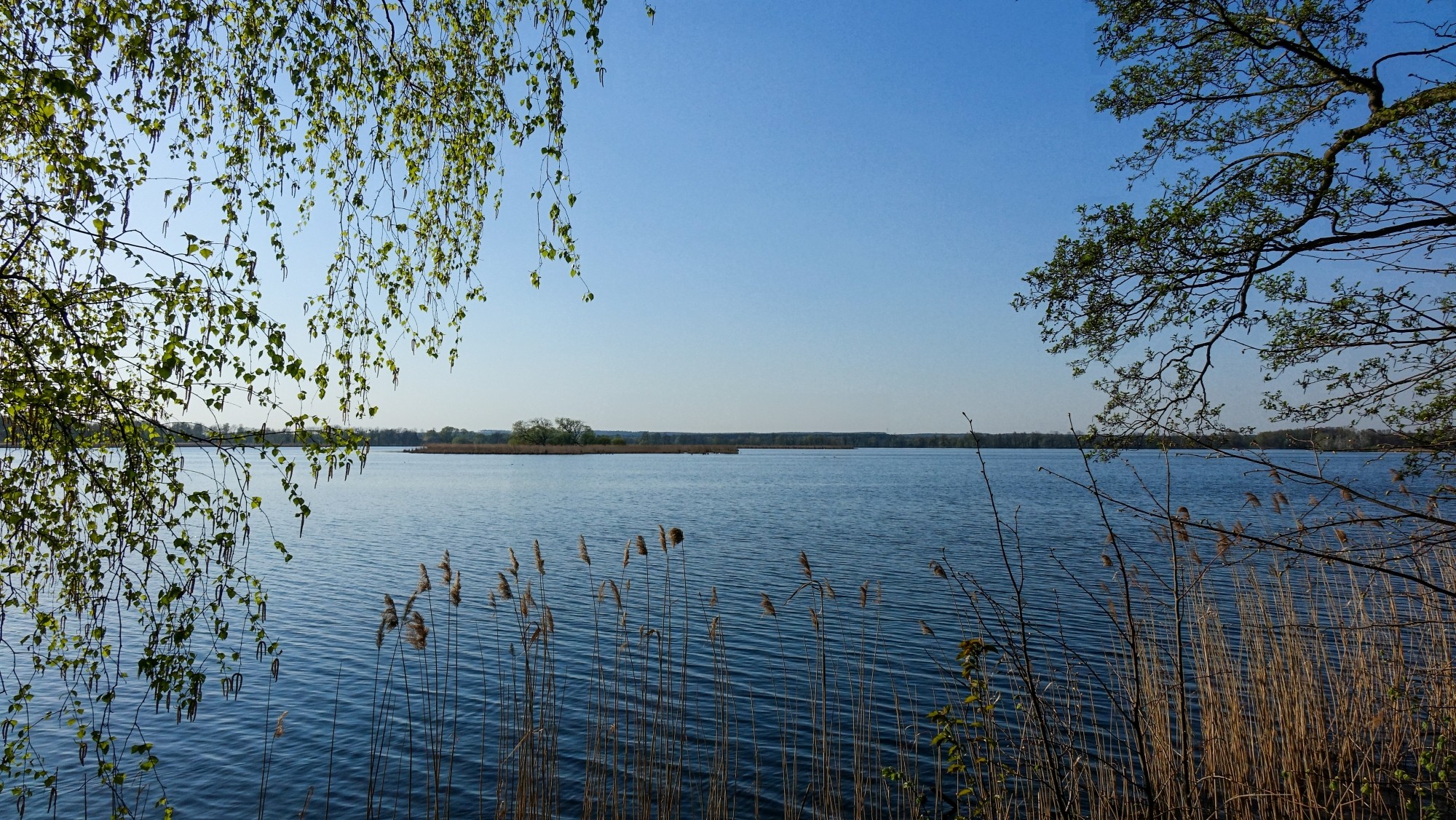 Podróż przez wiosenną Polskę - zdjęcie 23