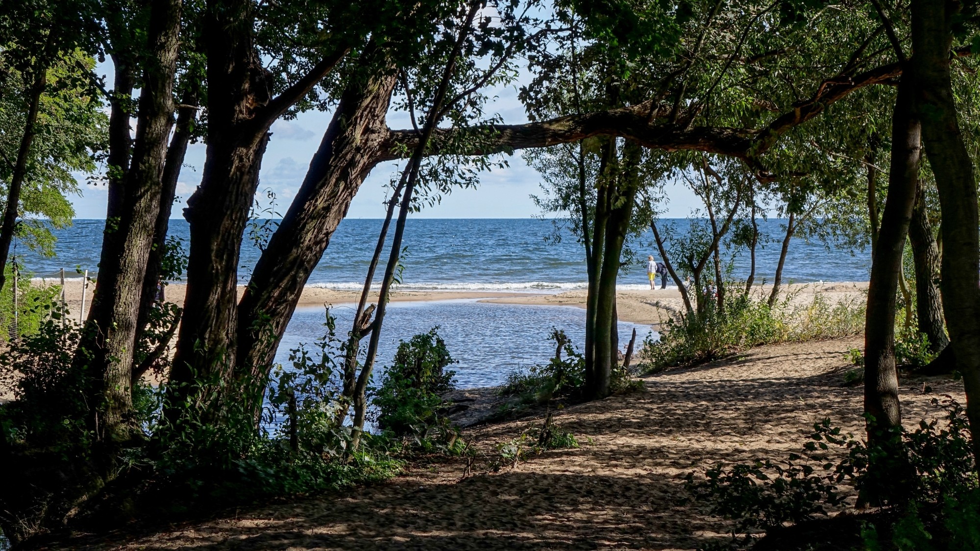 Urocze zakątki w lasach - zdjęcie 48