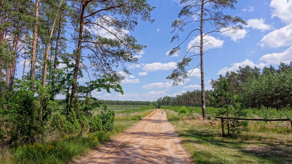 Czerwiec w obiektywie - zdjęcie 34