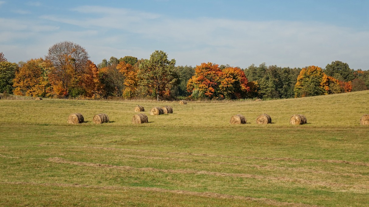 Barwy jesieni - zdjęcie 7