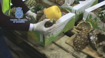 745 kilogramów kokainy ukryto w wydrążonych ananasach. Rozbito międzynarodowy gang