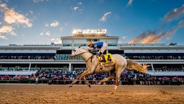 Pegasus World Cup 2026: wielki hit zimowego sezonu wyścigowego na antenie Polsat Sport 2