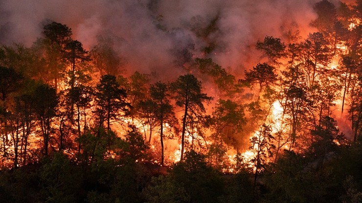 Zaczęło się od ogniska. Pożar pochłonął już ponad pięć tys. hektarów