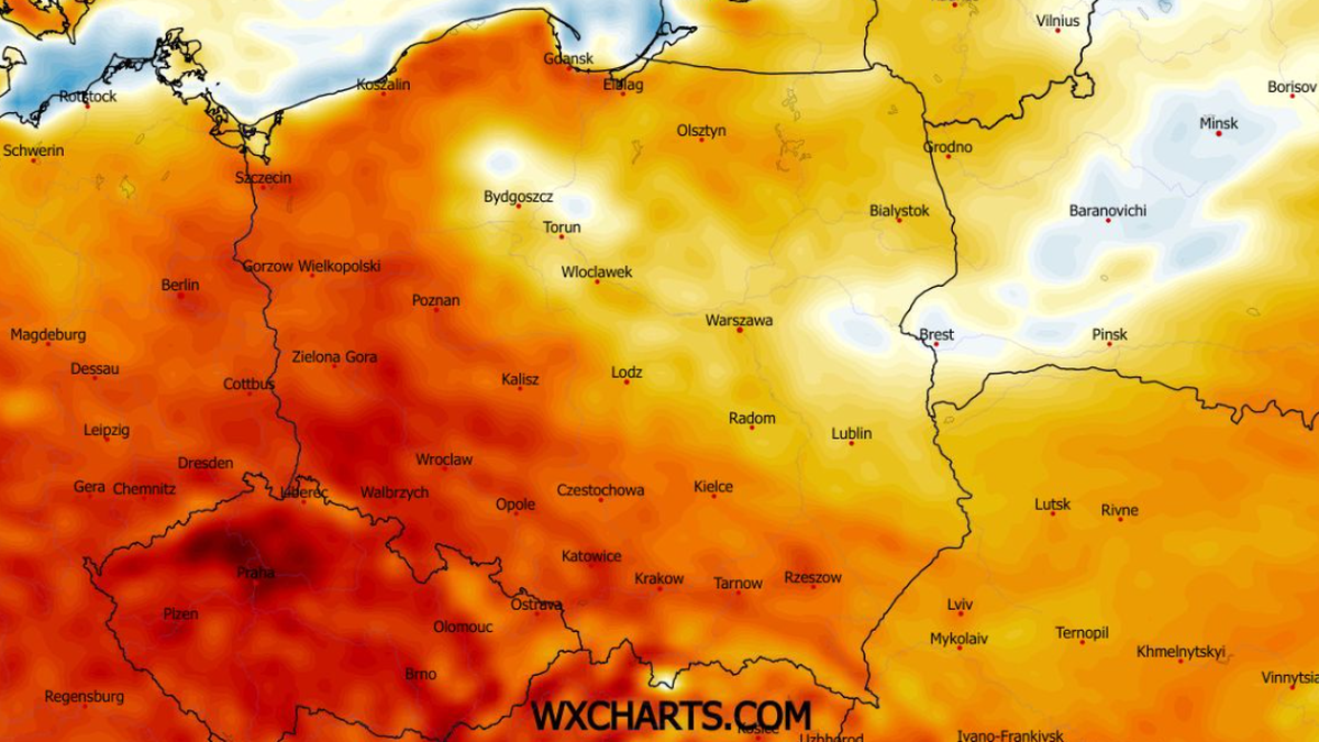 Pod koniec tygodnia odczujemy wyraźniejsze ocieplenie - wynika z prognoz IMGW