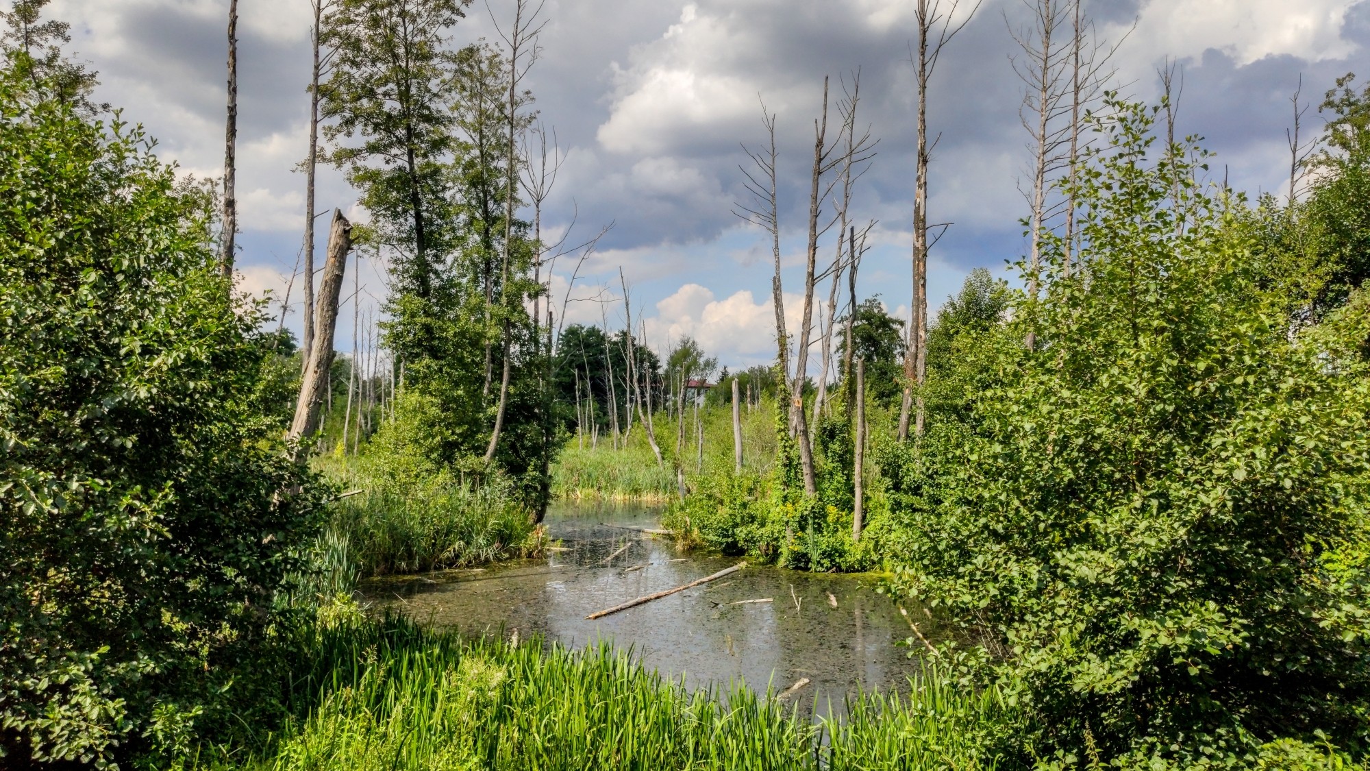 Koniec lata w pięknej Polsce - zdjęcie 16