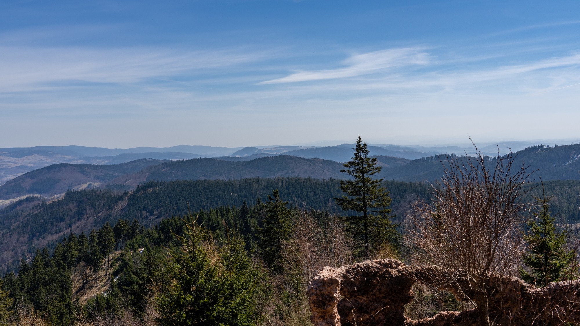 Miejska przyroda - zdjęcie 15