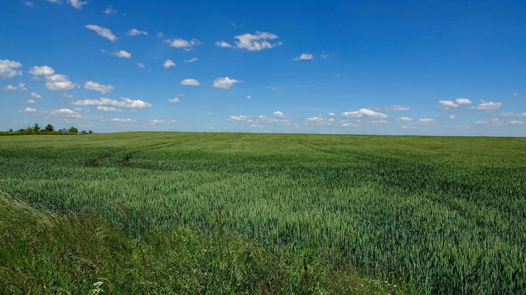 Uroki zielonej pory roku - zdjęcie 42