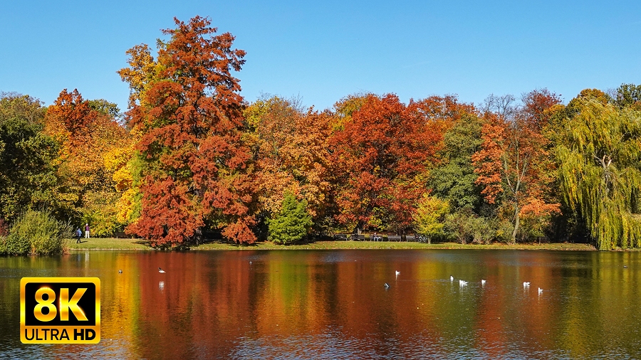 30.10.2021 05:57 Piękne krajobrazy polskiej jesieni w 8K. W takiej jakości nie zobaczycie ich nigdzie indziej