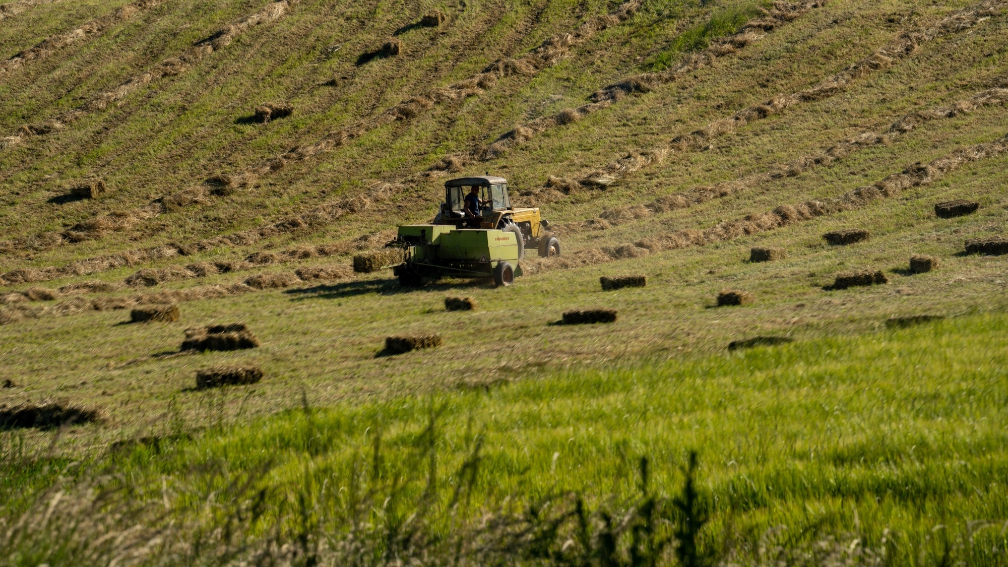 Kolory lata - zdjęcie 62