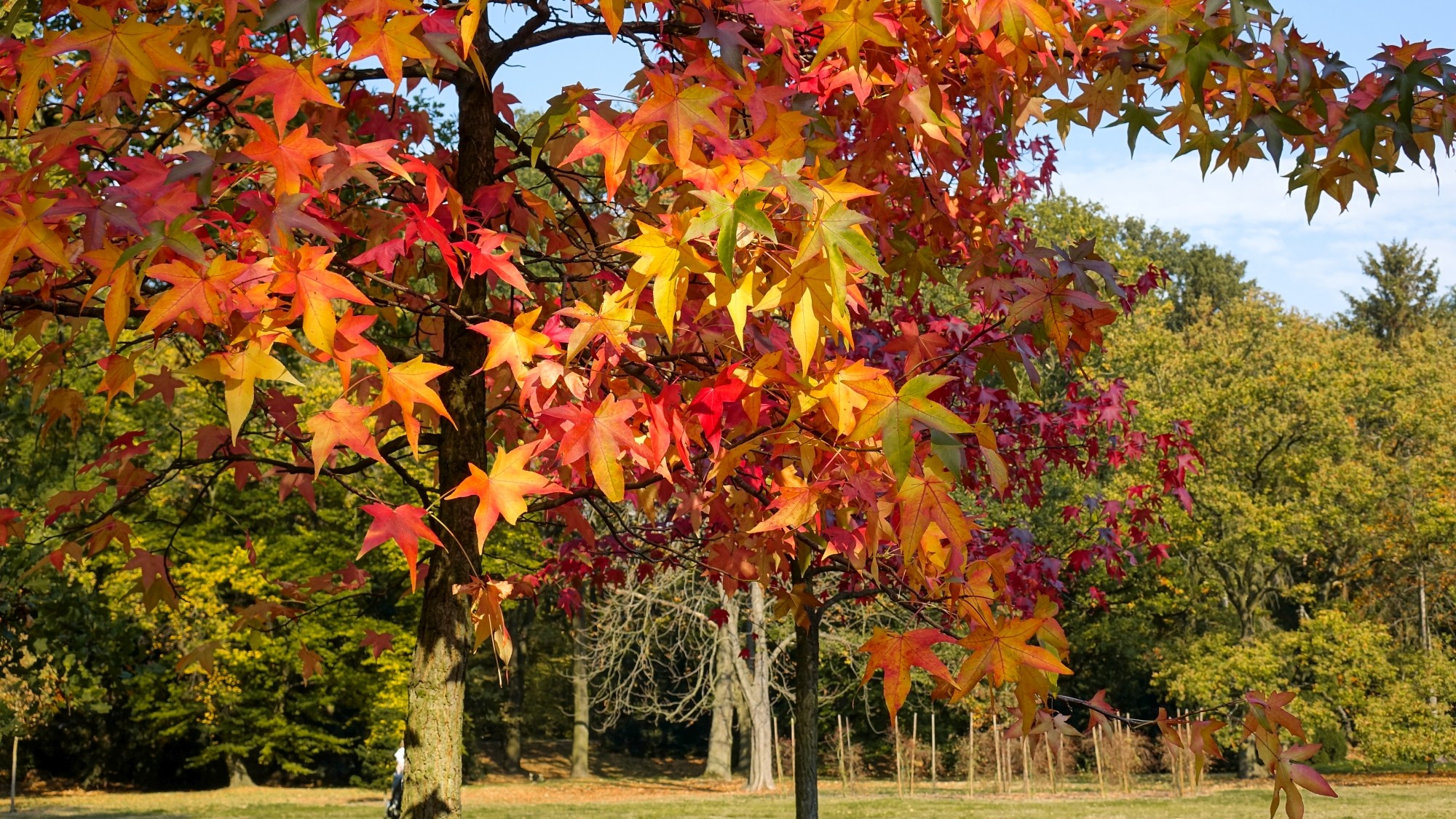 Jesień w górach, lasach i nad jeziorami - zdjęcie 49