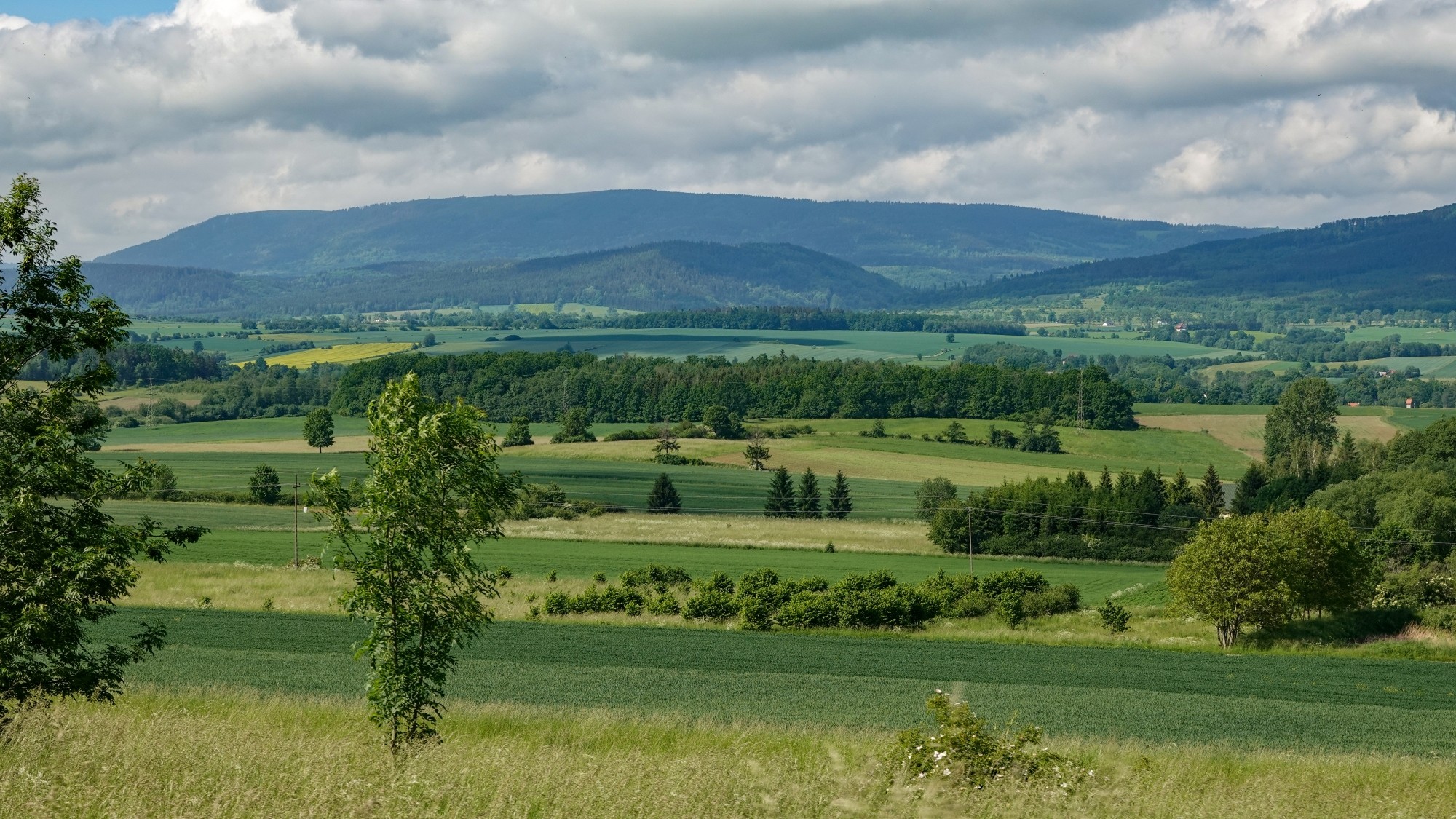 Letnie klimaty na łonie natury - zdjęcie 37