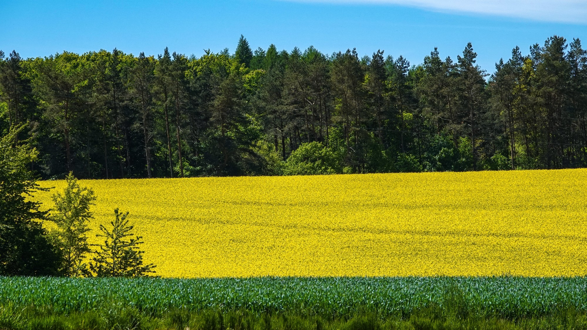 Wakacyjne podróże - zdjęcie 49