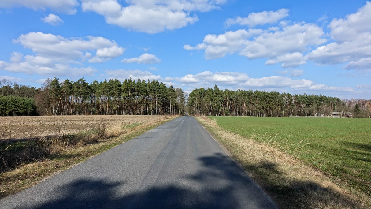 Marzec w obiektywie - zdjęcie 51