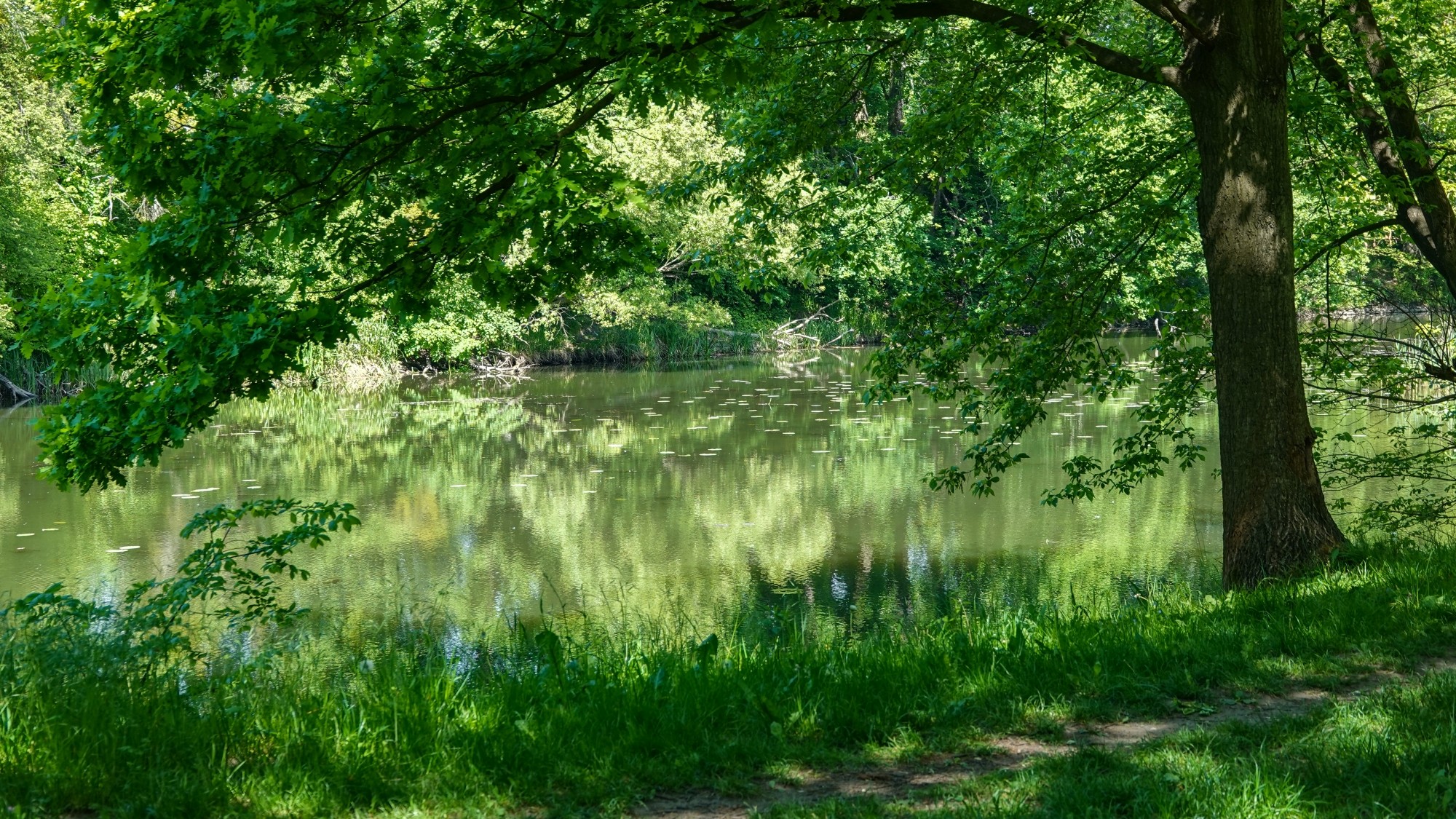 Całe piękno późnej wiosny - zdjęcie 46