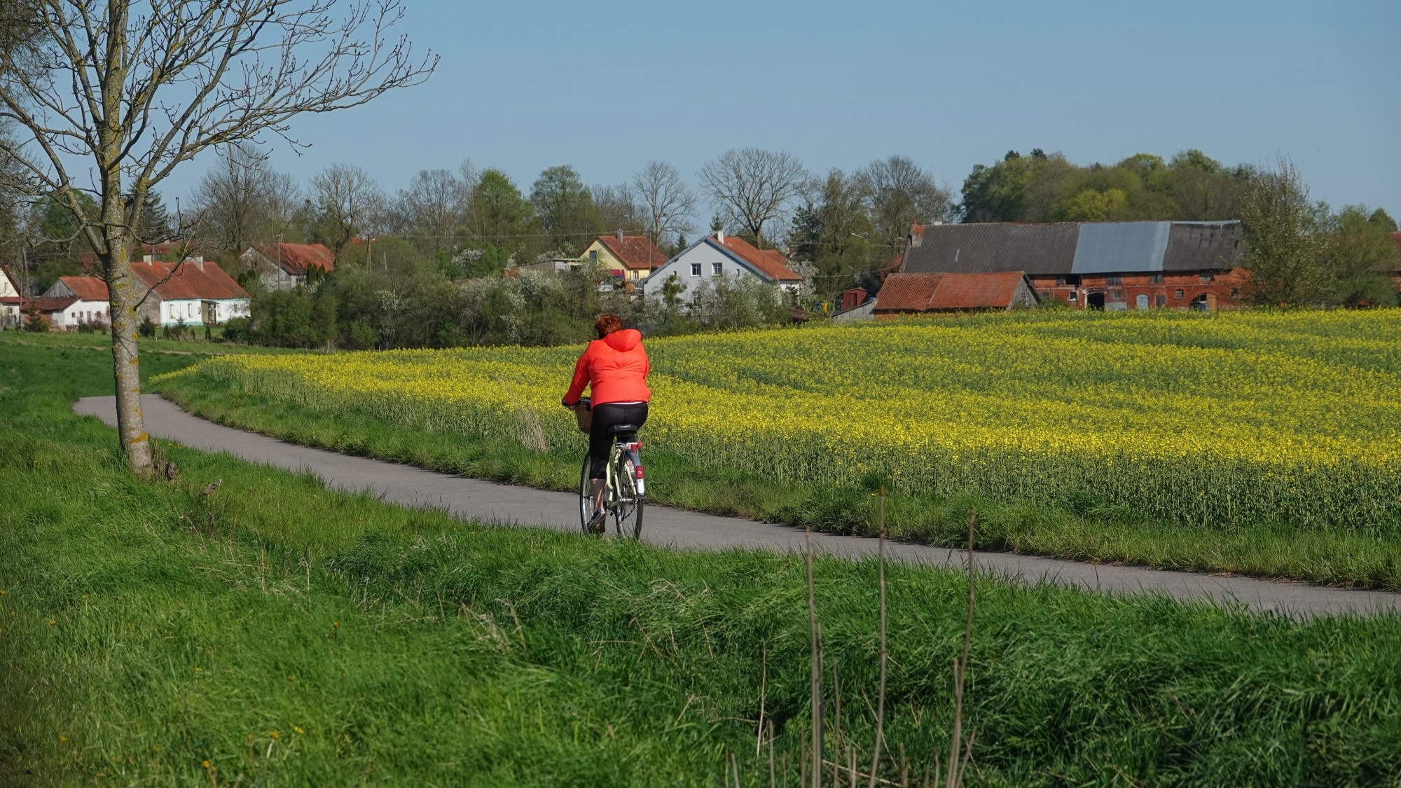 W maju jak w raju - zdjęcie 53