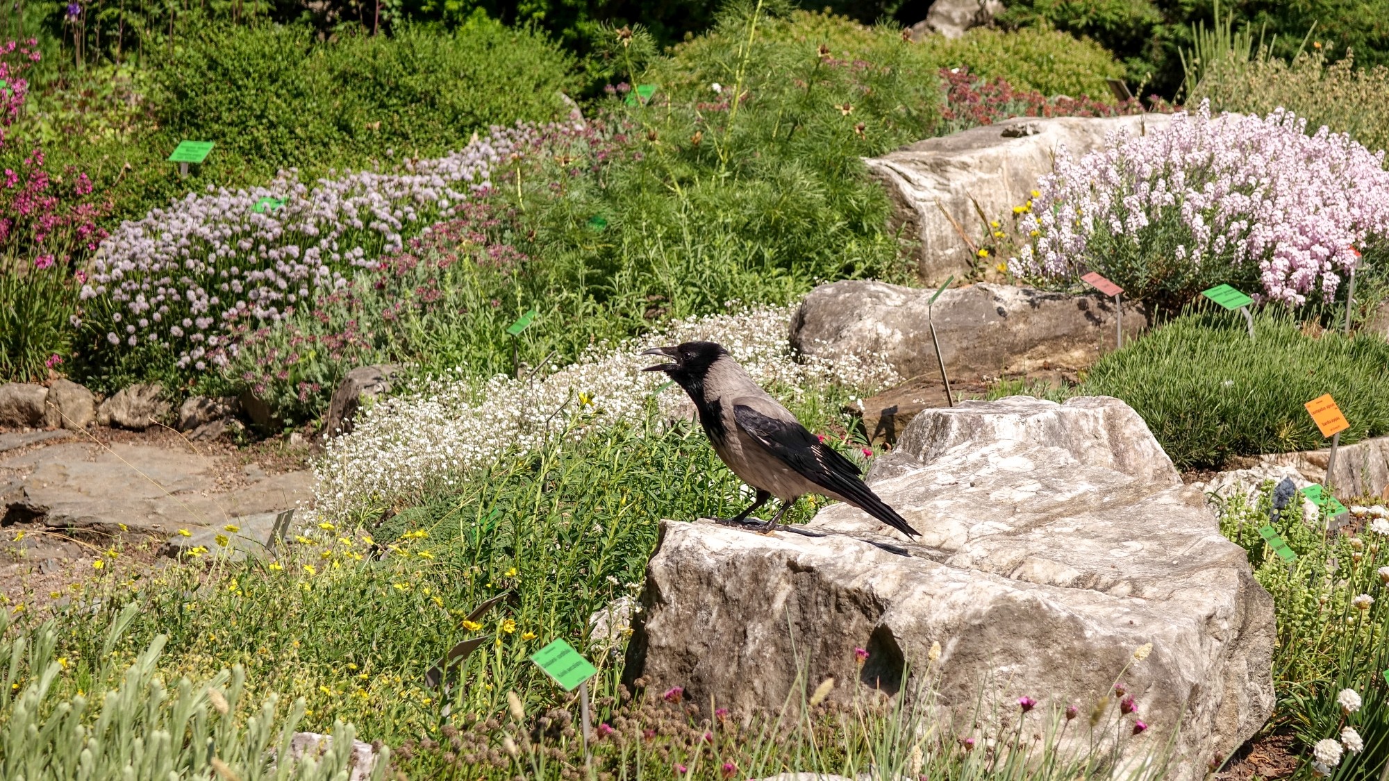 Z kamerą wśród zwierząt - zdjęcie 91