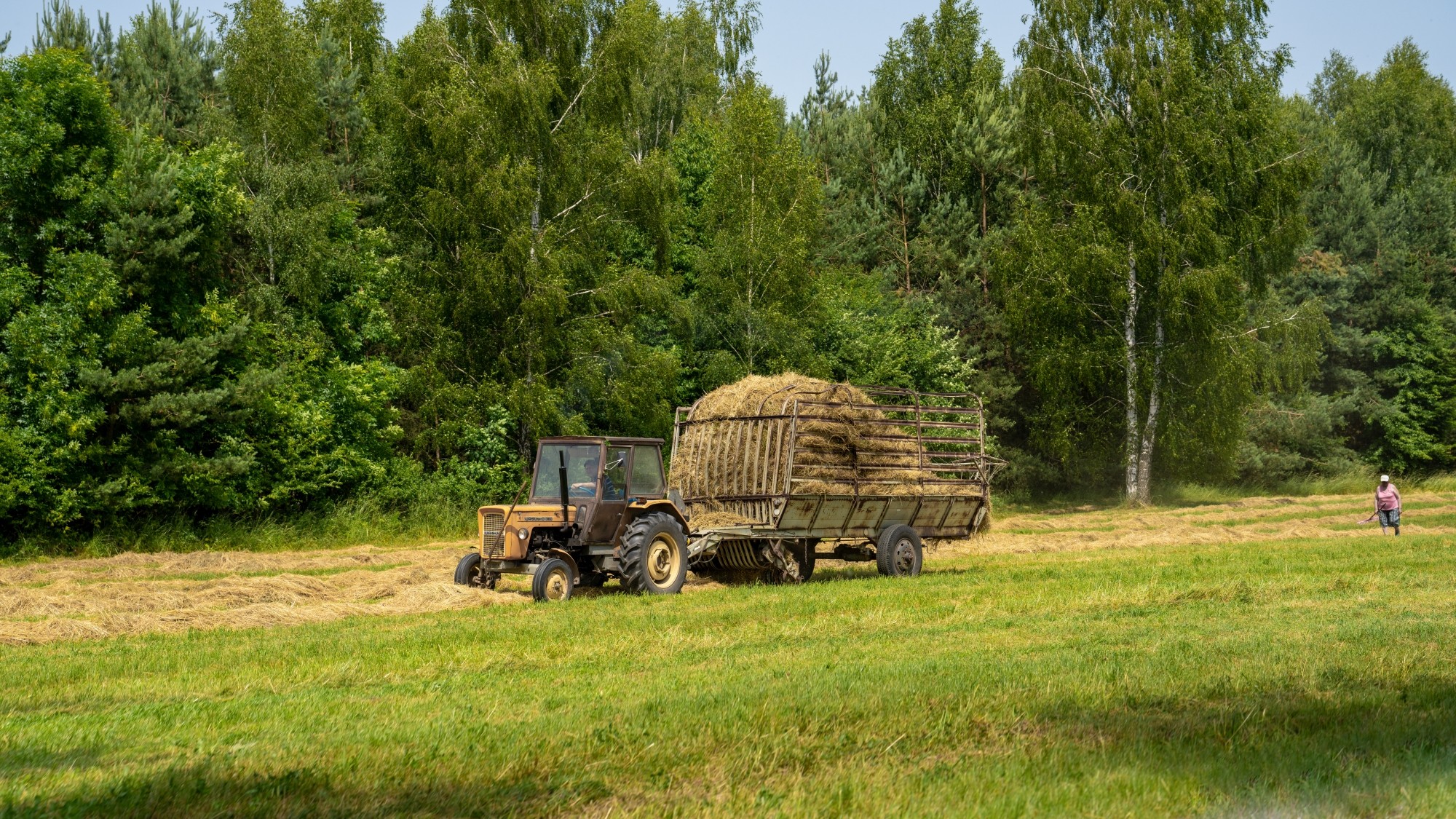 Lato na prowincji - zdjęcie 15