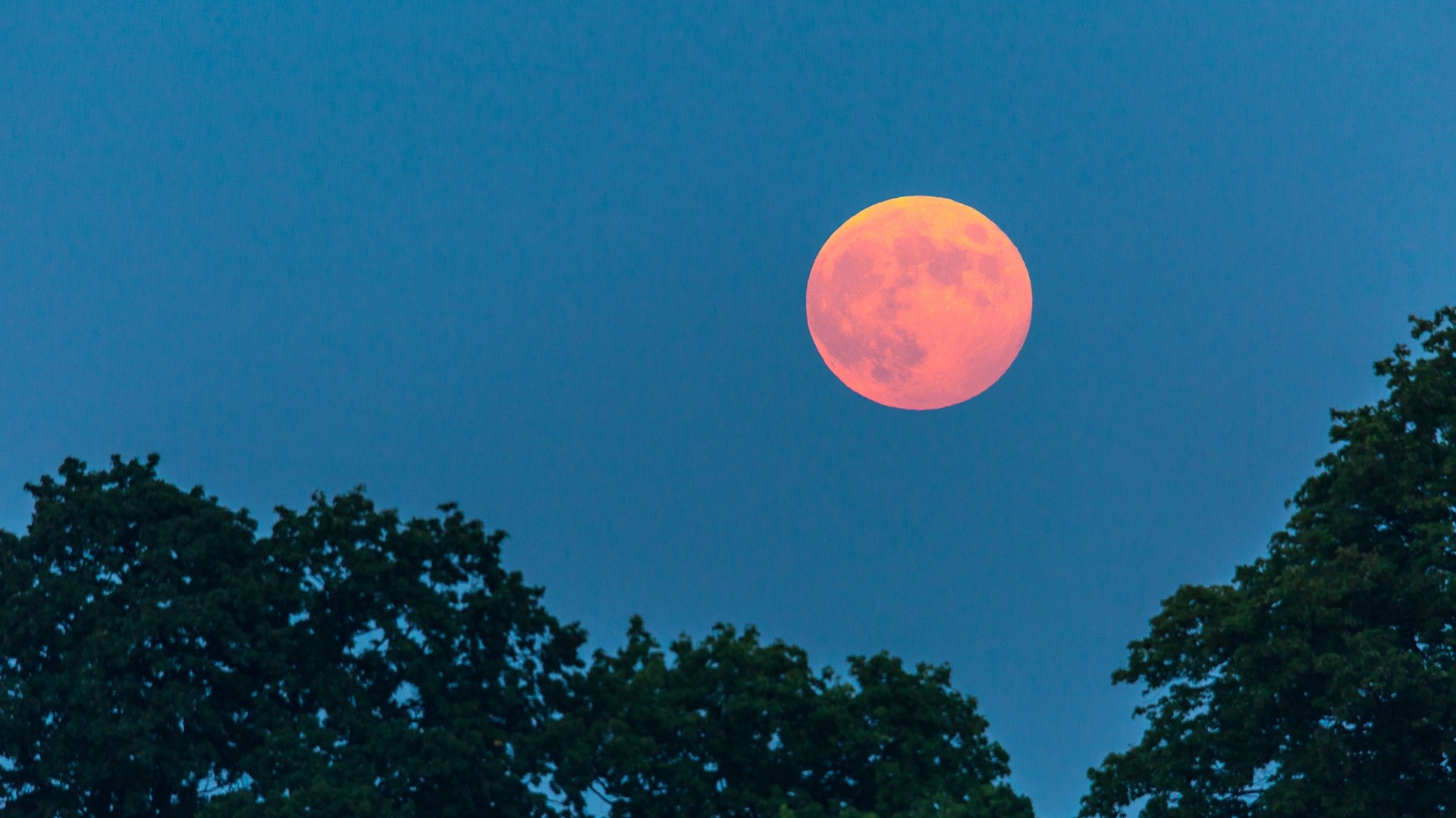 Pełnia Truskawkowego Księżyca - zdjęcie 8