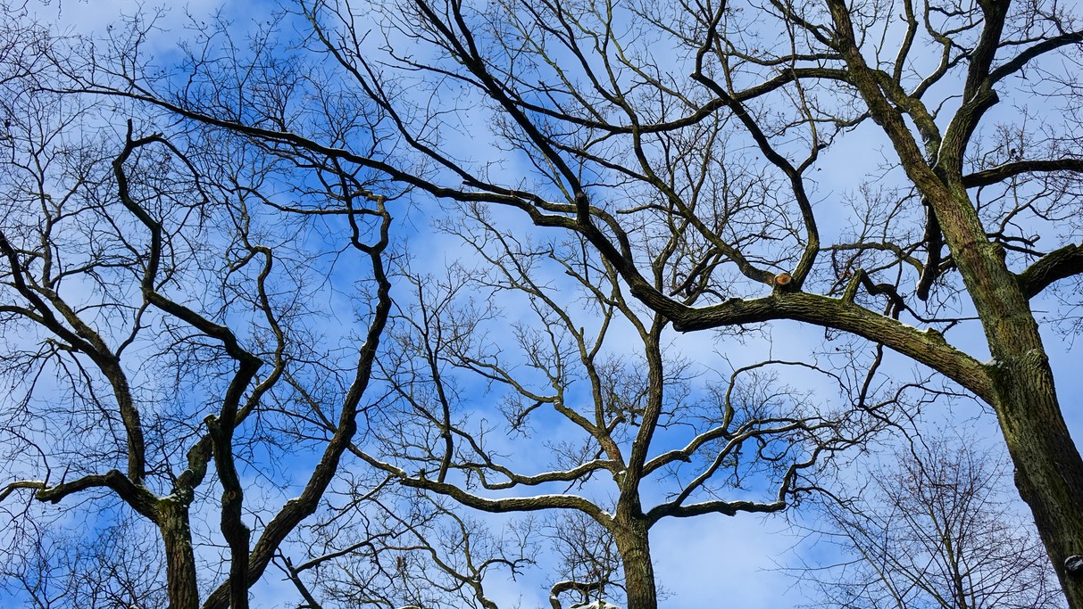 Styczeń w obiektywie - zdjęcie 40