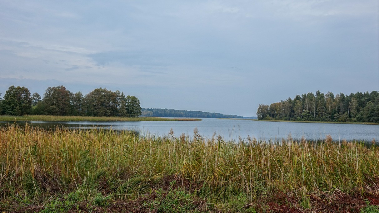 Jesienne krajobrazy za miastem - zdjęcie 26