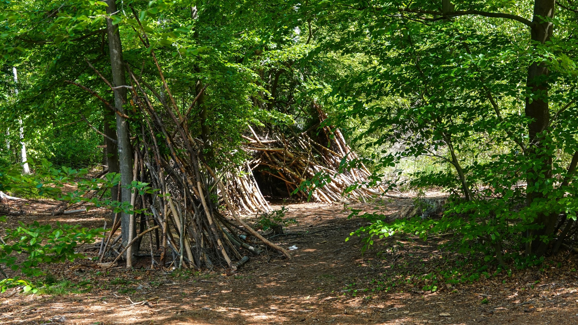 Całe piękno późnej wiosny - zdjęcie 33
